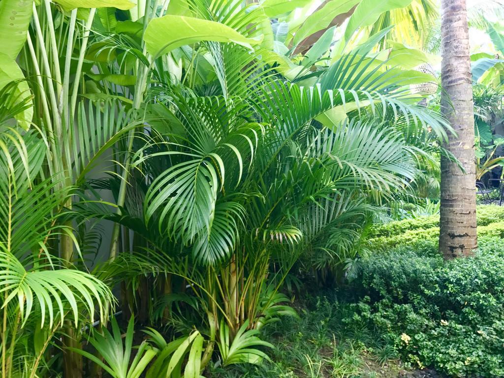 Mossca Mooi Ubud